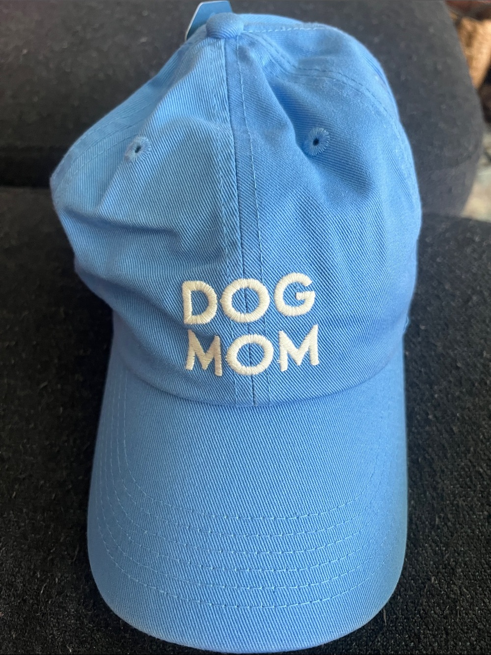 Life Is Good Blue 'DOG MOM' Baseball Cap